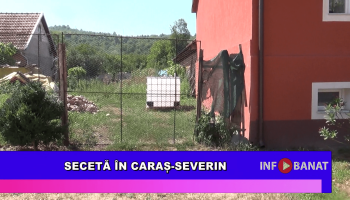 Secetă în Caraș-Severin