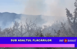 Sub asaltul flăcărilor