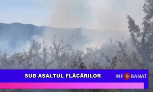 Sub asaltul flăcărilor