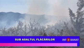 Sub asaltul flăcărilor