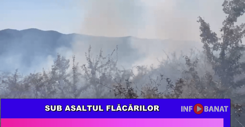 Sub asaltul flăcărilor