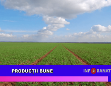 Producții bune