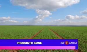 Producții bune