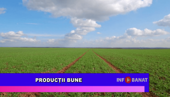 Producții bune