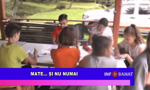 Mate… și nu numai