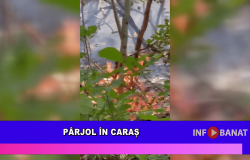 Pârjol în Caraș