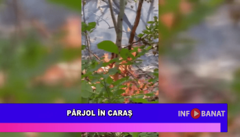 Pârjol în Caraș