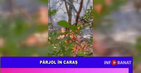 Pârjol în Caraș
