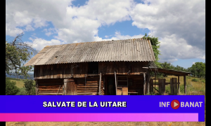 Salvate de la uitare