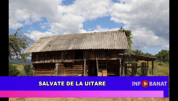Salvate de la uitare