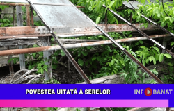 Povestea uitată a serelor