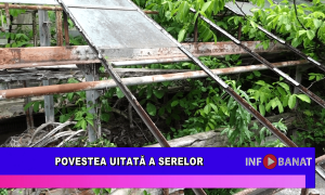 Povestea uitată a serelor