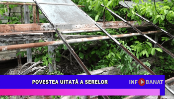 Povestea uitată a serelor