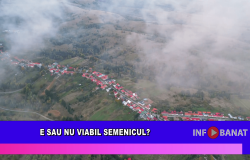 E sau nu viabil Semenicul?