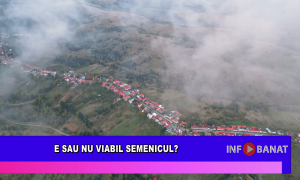 E sau nu viabil Semenicul?