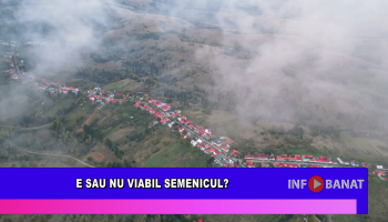 E sau nu viabil Semenicul?