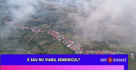 E sau nu viabil Semenicul?