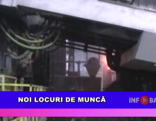 Noi locuri de muncă