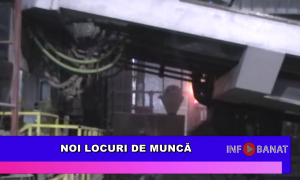 Noi locuri de muncă