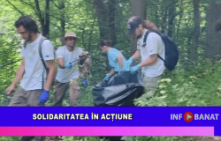 Solidaritatea în acțiune