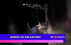 Noroc cu salvatorii
