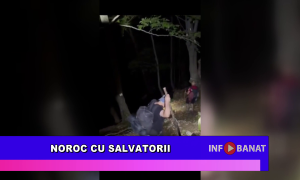 Noroc cu salvatorii