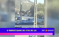 O îmbrățișare de 4700 de lei