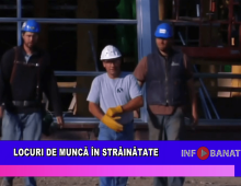 Locuri de muncă în străinătate