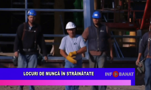 Locuri de muncă în străinătate