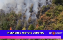 Incendiile mistuie județul