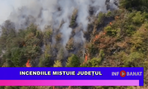 Incendiile mistuie județul