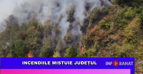 Incendiile mistuie județul