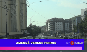 Amenda versus permis