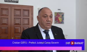 Codași la ghișeul ro