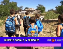 Bursele sociale în pericol!?