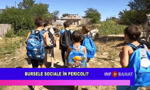 Bursele sociale în pericol!?