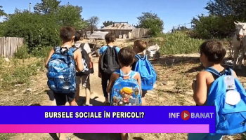 Bursele sociale în pericol!?