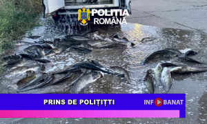 Prins de polițiști