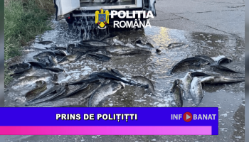 Prins de polițiști