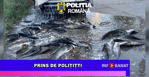 Prins de polițiști