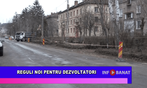 Reguli noi pentru dezvoltatori