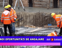 Noi oportunități de angajare