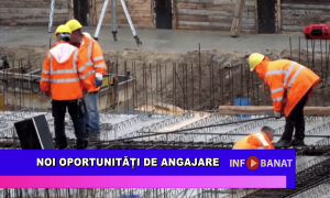 Noi oportunități de angajare
