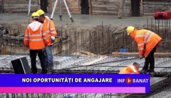 Noi oportunități de angajare