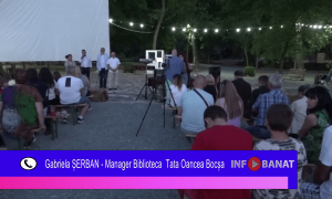 Film, carte și artă bănățeană