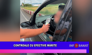 Controale cu efective mărite