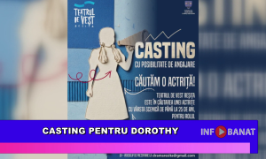 Casting pentru Dorothy