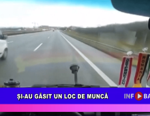Și-au găsit un loc de muncă