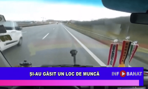 Și-au găsit un loc de muncă