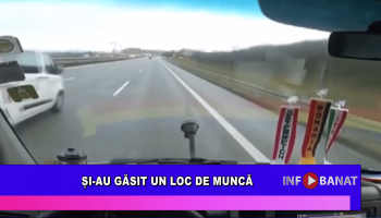 Și-au găsit un loc de muncă